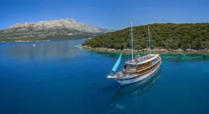 Labrador (TE) Katarina Line Croatia (3)