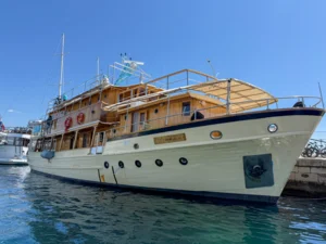 Kalipsa 2025 Opatija-05