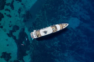 Aurelia_drone - 0016