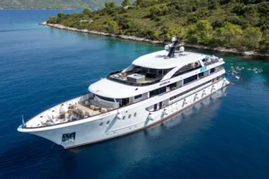 Aurelia_drone - 0045