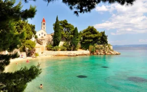 brac-bol-009-1359034186