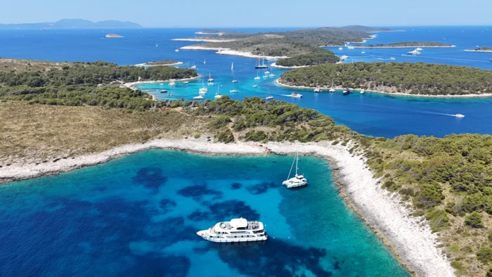 Moonlight 2025 by Kaye Smith (2)